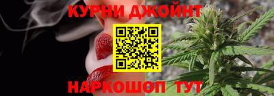 МДПВ Кингисепп