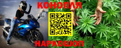 МДПВ Кингисепп