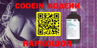 МДПВ Кингисепп