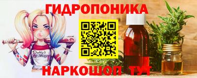 МДПВ Кингисепп