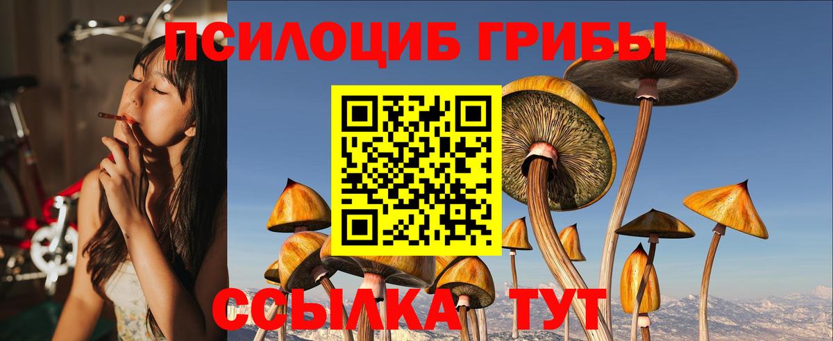Псилоцибиновые грибы GOLDEN TEACHER Кохма