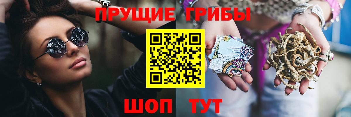 Псилоцибиновые грибы MAGIC MUSHROOMS  Вход с VPN  Кохма  Галлюциногенные грибы Psilocybine cubensis 